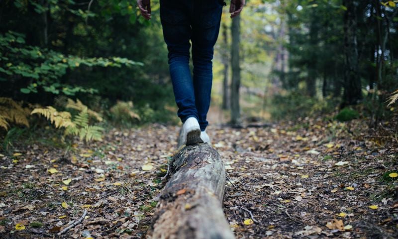 Person in runners balancing on a log in a forest