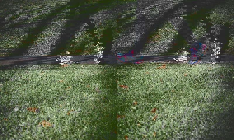 Pair of sneakers walking in a garden