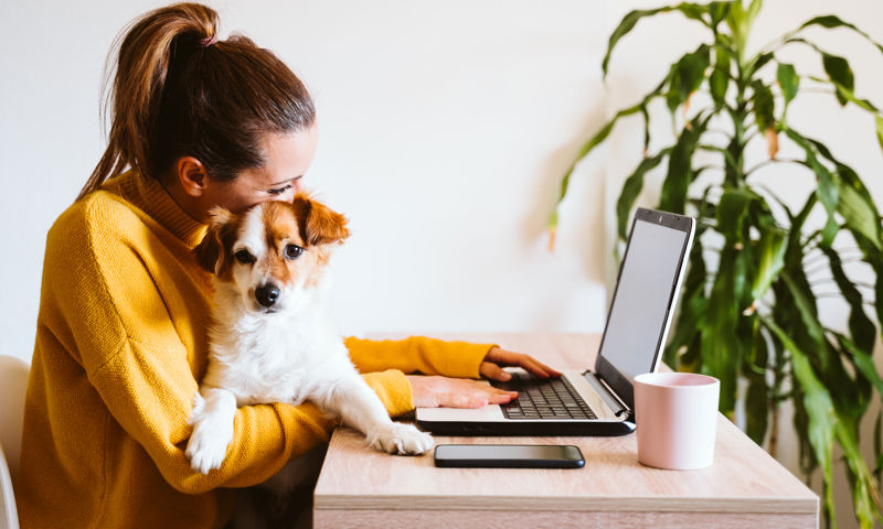 Woman in a yellow jumper sitting with her small dog on the computer