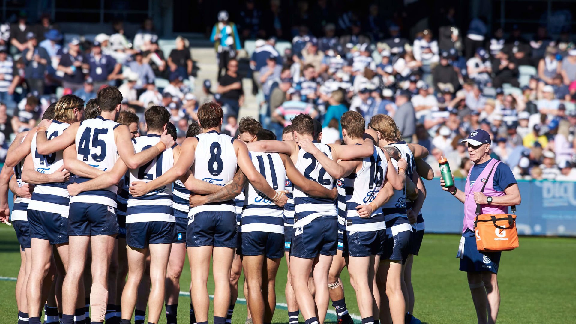 Geelong cat players on field
